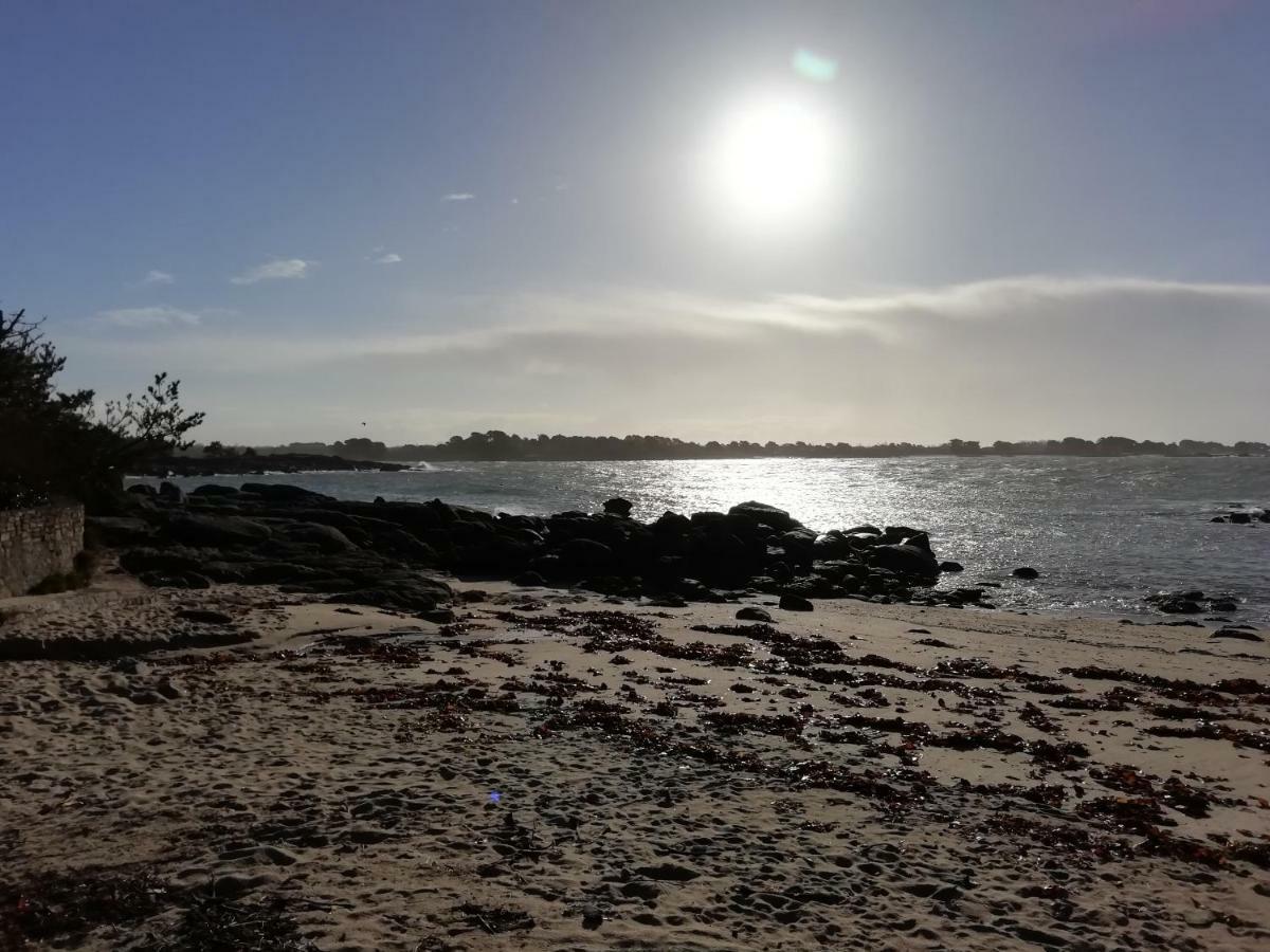 Les Roches Du Cabellou 150M De La Mer Concarneau Dış mekan fotoğraf