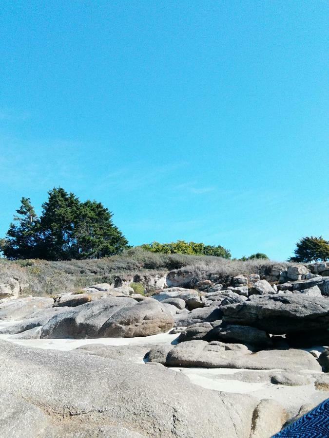 Les Roches Du Cabellou 150M De La Mer Concarneau Dış mekan fotoğraf