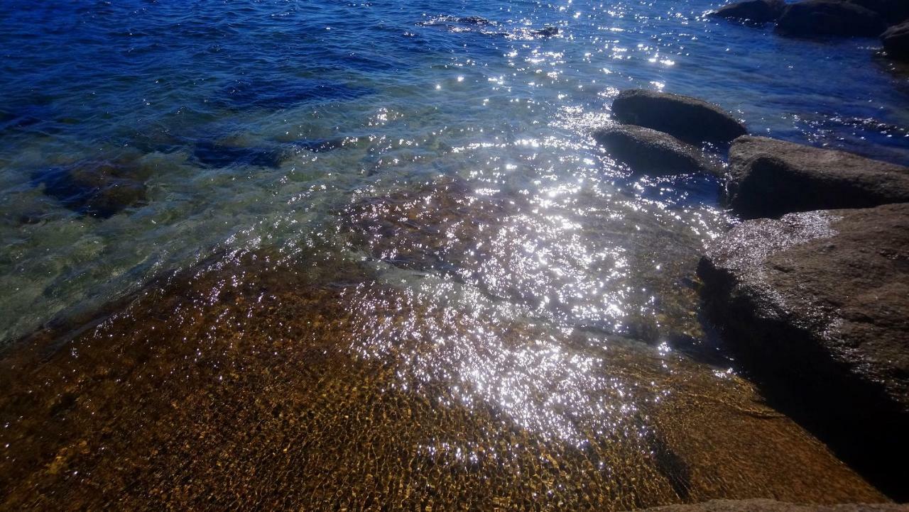 Les Roches Du Cabellou 150M De La Mer Concarneau Dış mekan fotoğraf