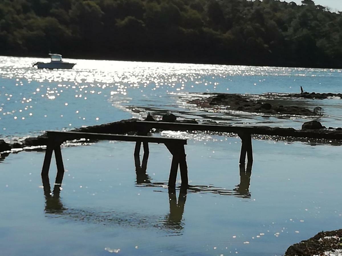 Les Roches Du Cabellou 150M De La Mer Concarneau Dış mekan fotoğraf